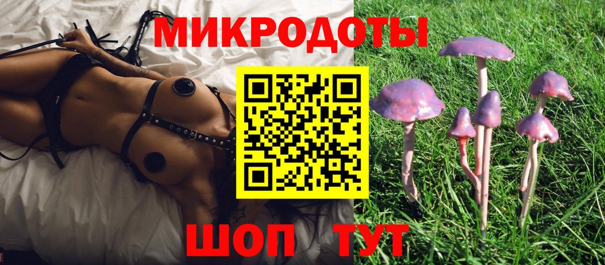 Зерноград  Псилоцибиновые грибы GOLDEN TEACHER  Вход с VPN 
